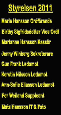 Styrelsen f&ouml;r 2011!
