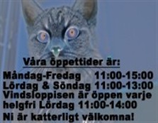 Ni &auml;r alltid varmt v&auml;lkomna att bes&ouml;ka oss och katterna p&aring; Tassebo p&aring; v&aring;ra &ouml;ppettider!