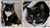 20230123 Hasse C.jpg