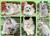 20260928 Ragdoll C.jpg
