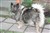 Maggie 20111007.jpg
